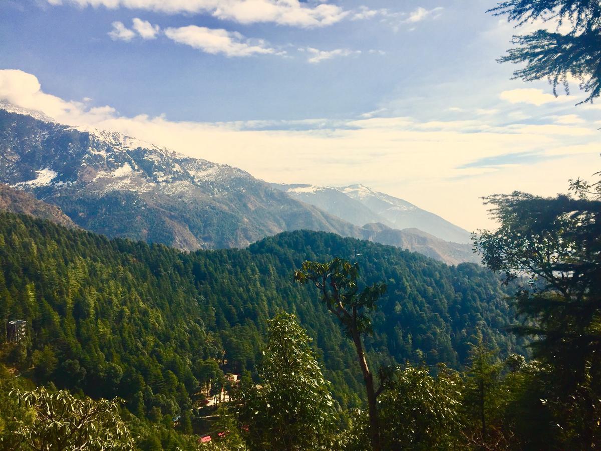 The Unmad, Dharamkot Hotel Dharamsala Zewnętrze zdjęcie