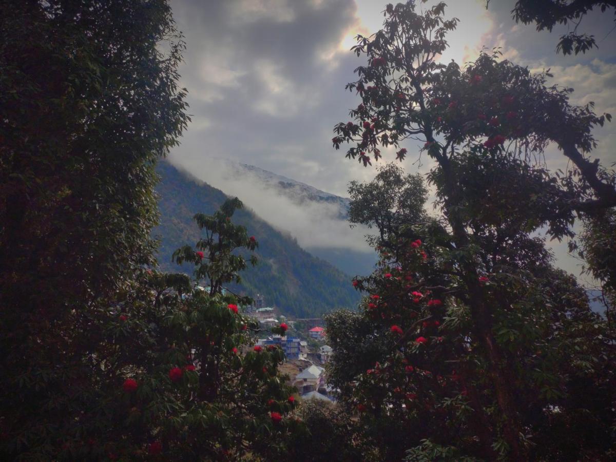 The Unmad, Dharamkot Hotel Dharamsala Zewnętrze zdjęcie